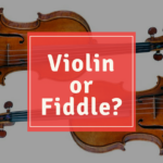 violin or fiddle