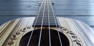 electric ukulele