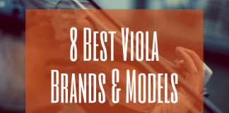 Best viola brands and models