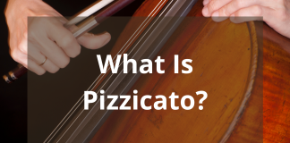 What Is Pizzicato