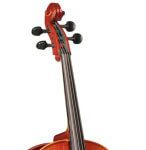 Pasted Into 10 Best Cello Brands Beginner & Intermediate Cello Reviews