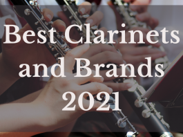 Best Clarinets And Brands 2021
