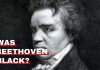 Orchestra Central's Was Beethoven Black featured image.
