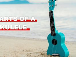 Featured image of Orchestra Central's parts of a ukulele