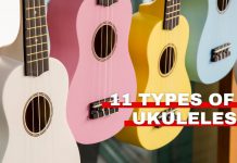 types of ukulele featured image from Orchestra Central