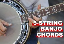 Orchestra Central's featured image about 5 string banjo chords