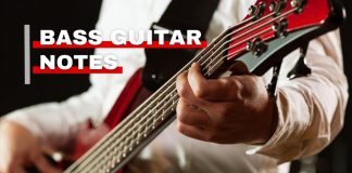Orchestra Central's featured image about bass guitar notes