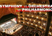 Featured image of Orchestra Central's symphony vs orchestra vs philharmonic article
