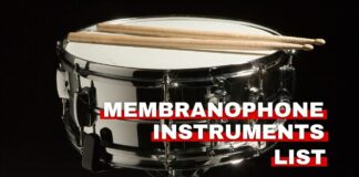 Membranophone instruments list featured image from Orchestra Central